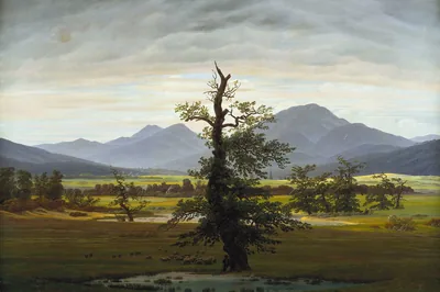 Eine einzelne Eiche mit kahler Spitze steht auf einer Wiese, dahinter Berge und Wolken, Der einsame Baum, Caspar David Friedrich, 1822.